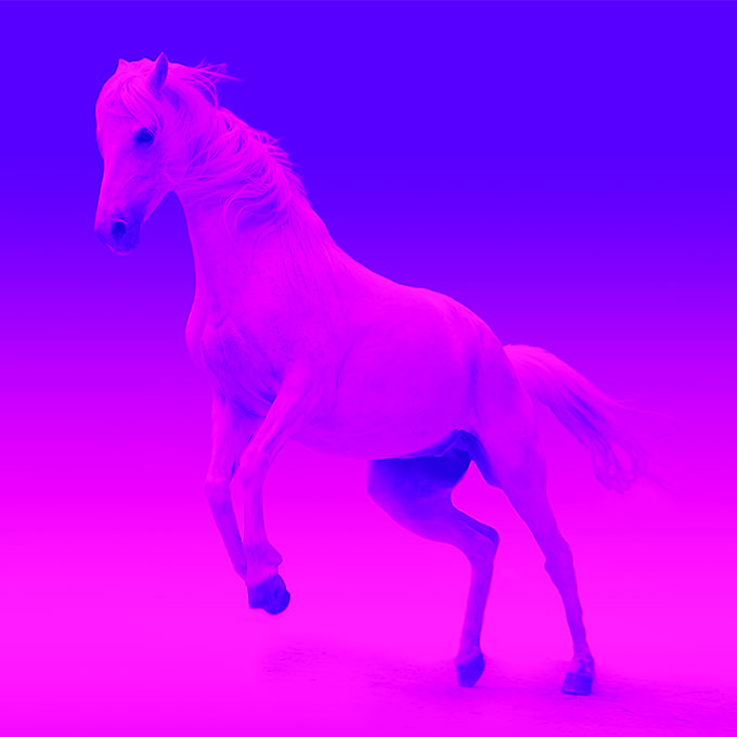 Pinkhorse.jpg CW Lighting